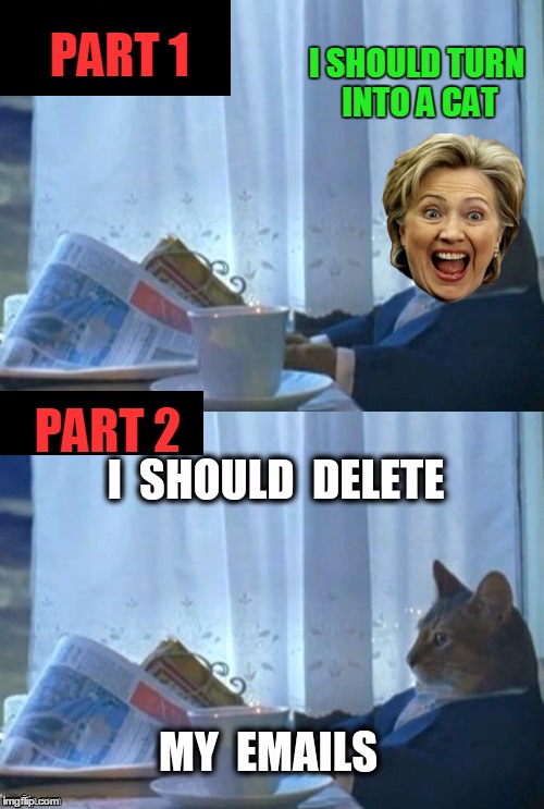 I SHOULD TURN INTO A CAT PART 1 PART 2 | made w/ Imgflip meme maker