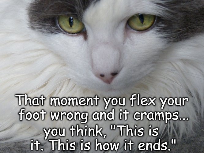 Cat looking pensive at thought of death | That moment you flex your foot wrong and it cramps... you think, "This is it. This is how it ends." | image tagged in funny memes,funny cat memes,death,cats | made w/ Imgflip meme maker