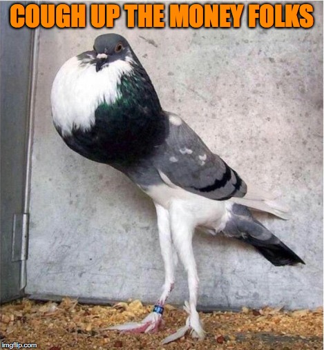 COUGH UP THE MONEY FOLKS | made w/ Imgflip meme maker