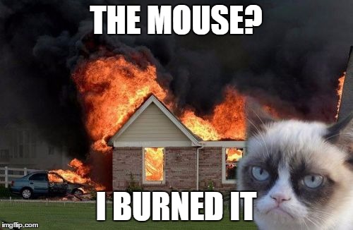 Burn Kitty Meme | THE MOUSE? I BURNED IT | image tagged in memes,burn kitty | made w/ Imgflip meme maker