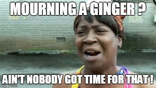 Ain't Nobody Got Time For That Meme | MOURNING A GINGER ? AIN'T NOBODY GOT TIME FOR THAT ! | image tagged in memes,aint nobody got time for that | made w/ Imgflip meme maker