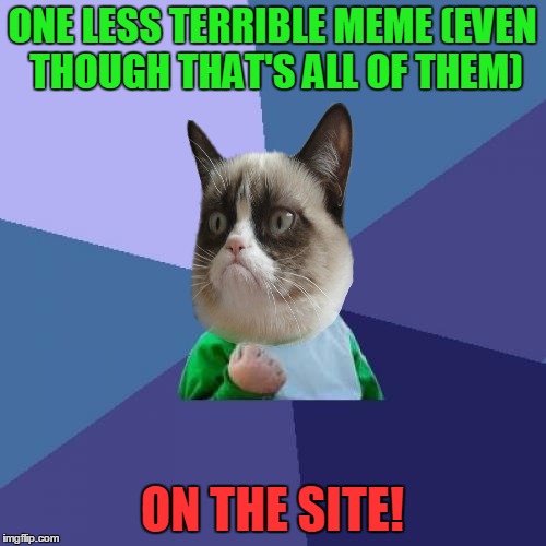 Success Kid Meme | ONE LESS TERRIBLE MEME (EVEN THOUGH THAT'S ALL OF THEM) ON THE SITE! | image tagged in memes,success kid | made w/ Imgflip meme maker