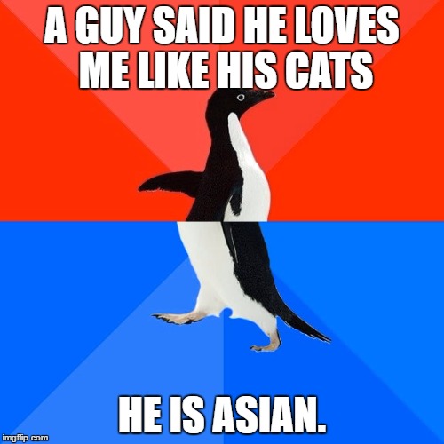 Socially Awesome Awkward Penguin Meme | A GUY SAID HE LOVES ME LIKE HIS CATS; HE IS ASIAN. | image tagged in memes,socially awesome awkward penguin | made w/ Imgflip meme maker