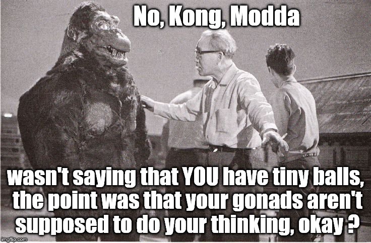 Kong with Director | No, Kong, Modda wasn't saying that YOU have tiny balls, the point was that your gonads aren't supposed to do your thinking, okay ? | image tagged in kong with director | made w/ Imgflip meme maker