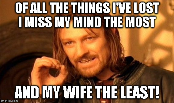 One Does Not Simply | OF ALL THE THINGS I'VE LOST I MISS MY MIND THE MOST; AND MY WIFE THE LEAST! | image tagged in memes,one does not simply | made w/ Imgflip meme maker
