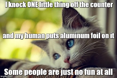 First World Problems Cat | I knock ONE little thing off the counter; and my human puts aluminum foil on it; Some people are just no fun at all | image tagged in memes,first world problems cat | made w/ Imgflip meme maker