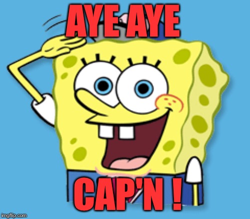 AYE AYE CAP'N ! | made w/ Imgflip meme maker