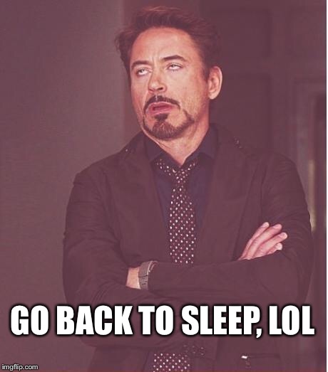 Face You Make Robert Downey Jr Meme | GO BACK TO SLEEP, LOL | image tagged in memes,face you make robert downey jr | made w/ Imgflip meme maker