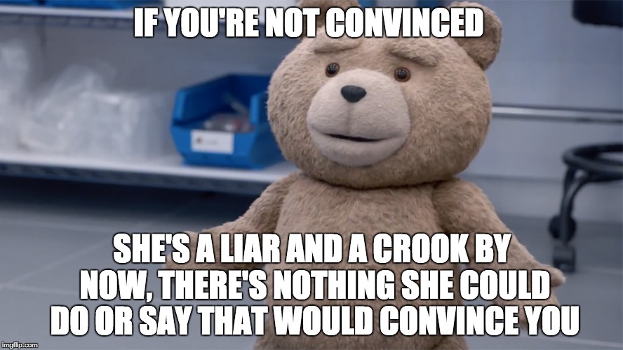 Ted Question | IF YOU'RE NOT CONVINCED; SHE'S A LIAR AND A CROOK BY NOW, THERE'S NOTHING SHE COULD DO OR SAY THAT WOULD CONVINCE YOU | image tagged in ted question | made w/ Imgflip meme maker