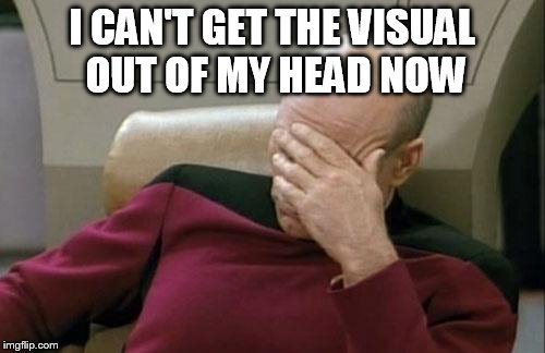 Captain Picard Facepalm Meme | I CAN'T GET THE VISUAL OUT OF MY HEAD NOW | image tagged in memes,captain picard facepalm | made w/ Imgflip meme maker