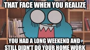 THAT FACE WHEN YOU REALIZE; YOU HAD A LONG WEEKEND AND STILL DIDN'T DO YOUR HOME WORK | image tagged in http//orig00deviantartnet/509b/f/2014/189/2/5/tawog_surprised | made w/ Imgflip meme maker