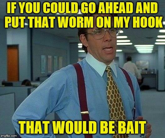 That Would Be Great Meme |  IF YOU COULD GO AHEAD AND PUT THAT WORM ON MY HOOK; THAT WOULD BE BAIT | image tagged in memes,that would be great | made w/ Imgflip meme maker