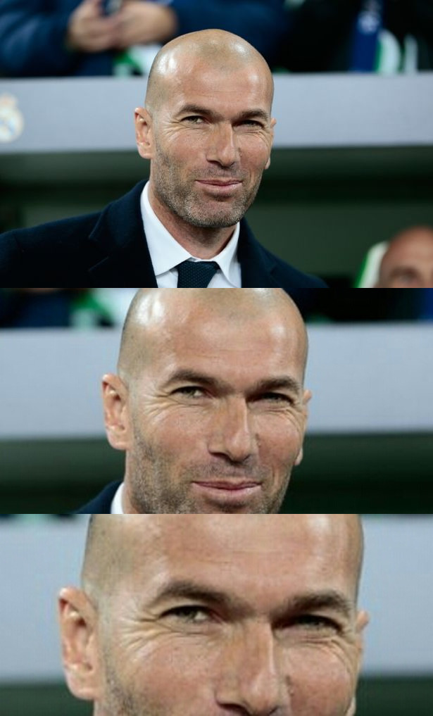 High Quality Zidane the clean sheet destroyer Blank Meme Template