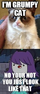 I'M GRUMPY CAT; NO YOUR NOT YOU JUST LOOK LIKE THAT | image tagged in grumpy cat | made w/ Imgflip meme maker