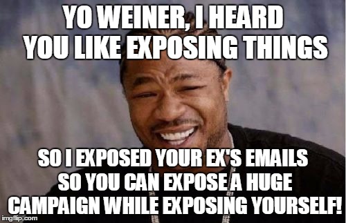 Yo Dawg Heard You Meme | YO WEINER, I HEARD YOU LIKE EXPOSING THINGS; SO I EXPOSED YOUR EX'S EMAILS SO YOU CAN EXPOSE A HUGE CAMPAIGN WHILE EXPOSING YOURSELF! | image tagged in memes,yo dawg heard you | made w/ Imgflip meme maker