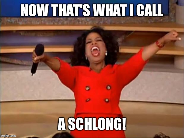 Oprah You Get A Meme | NOW THAT'S WHAT I CALL A SCHLONG! | image tagged in memes,oprah you get a | made w/ Imgflip meme maker
