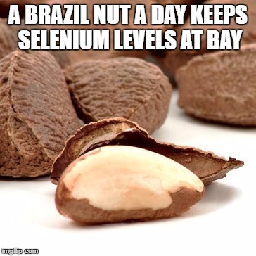 A BRAZIL NUT A DAY
KEEPS SELENIUM LEVELS AT BAY | image tagged in a brazil nut a day | made w/ Imgflip meme maker