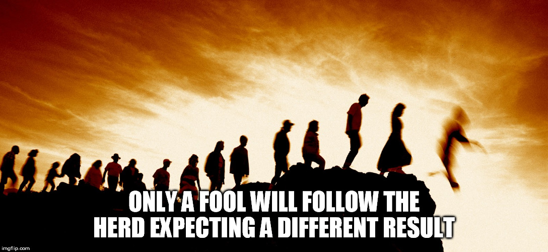 Herd | ONLY A FOOL WILL FOLLOW THE HERD EXPECTING A DIFFERENT RESULT | image tagged in herd | made w/ Imgflip meme maker