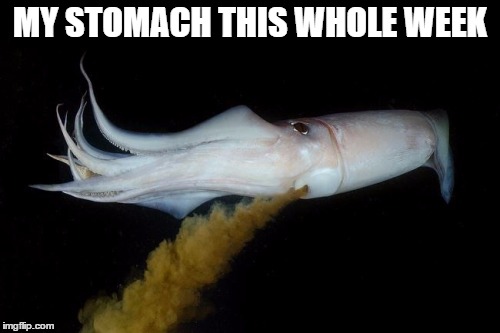 No more gas station egg salad | MY STOMACH THIS WHOLE WEEK | image tagged in squid | made w/ Imgflip meme maker