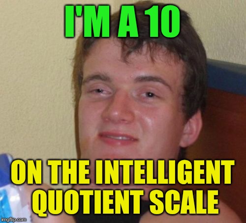 10 Guy Meme | I'M A 10 ON THE INTELLIGENT QUOTIENT SCALE | image tagged in memes,10 guy | made w/ Imgflip meme maker