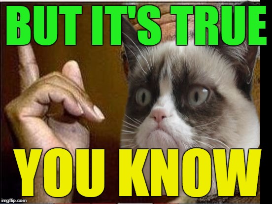 Grumpy Cat He's Right You Know | BUT IT'S TRUE YOU KNOW | image tagged in grumpy cat he's right you know | made w/ Imgflip meme maker