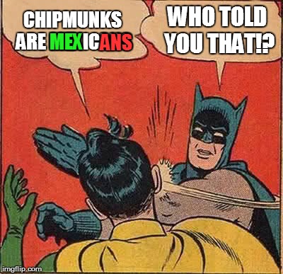 Batman Slapping Robin Meme | CHIPMUNKS ARE MEXICANS WHO TOLD YOU THAT!? MEX ANS | image tagged in memes,batman slapping robin | made w/ Imgflip meme maker