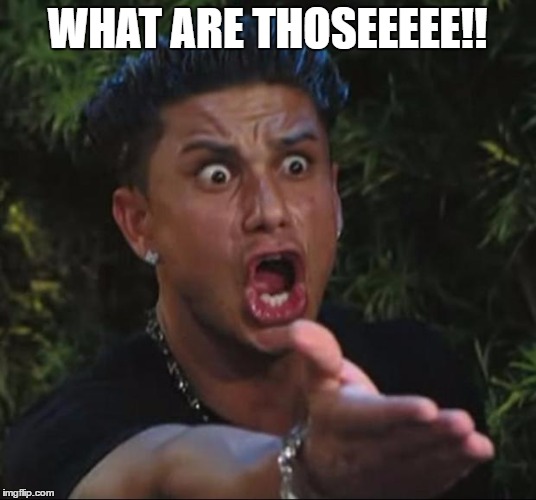 DJ Pauly D | WHAT ARE THOSEEEEE!! | image tagged in memes,dj pauly d | made w/ Imgflip meme maker