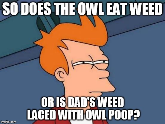 Futurama Fry Meme | SO DOES THE OWL EAT WEED OR IS DAD'S WEED LACED WITH OWL POOP? | image tagged in memes,futurama fry | made w/ Imgflip meme maker