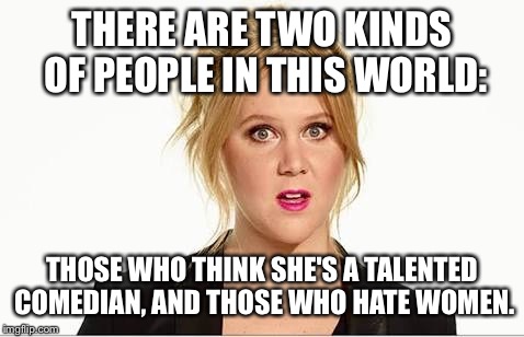 Amy schumer | THERE ARE TWO KINDS OF PEOPLE IN THIS WORLD:; THOSE WHO THINK SHE'S A TALENTED COMEDIAN, AND THOSE WHO HATE WOMEN. | image tagged in amy schumer | made w/ Imgflip meme maker