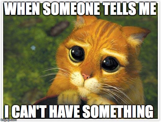 Shrek Cat Meme | WHEN SOMEONE TELLS ME; I CAN'T HAVE SOMETHING | image tagged in memes,shrek cat | made w/ Imgflip meme maker