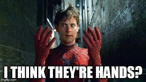Spiderman - What Did I Touch? | I THINK THEY'RE HANDS? | image tagged in spiderman - what did i touch | made w/ Imgflip meme maker