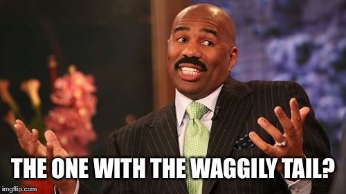 Steve Harvey Meme | THE ONE WITH THE WAGGILY TAIL? | image tagged in memes,steve harvey | made w/ Imgflip meme maker