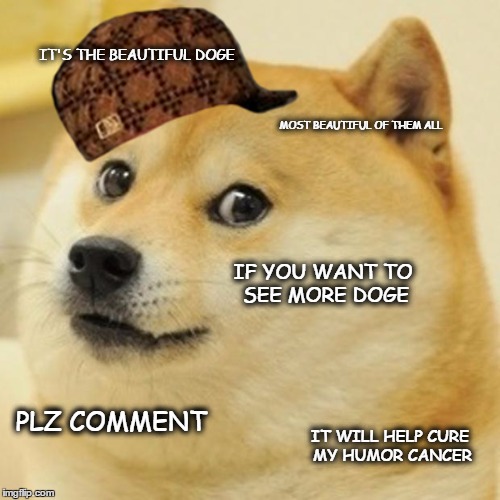 Doge | IT'S THE BEAUTIFUL DOGE; MOST BEAUTIFUL OF THEM ALL; IF YOU WANT TO SEE MORE DOGE; PLZ COMMENT; IT WILL HELP CURE MY HUMOR CANCER | image tagged in memes,doge,scumbag | made w/ Imgflip meme maker