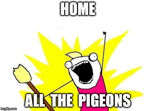 X All The Y Meme | HOME ALL  THE  PIGEONS | image tagged in memes,x all the y | made w/ Imgflip meme maker