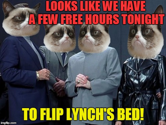 LOOKS LIKE WE HAVE A FEW FREE HOURS TONIGHT TO FLIP LYNCH'S BED! | made w/ Imgflip meme maker