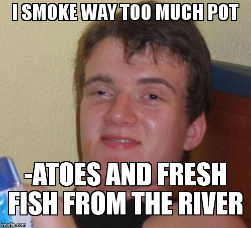 10 Guy Meme | I SMOKE WAY TOO MUCH POT -ATOES AND FRESH FISH FROM THE RIVER | image tagged in memes,10 guy | made w/ Imgflip meme maker