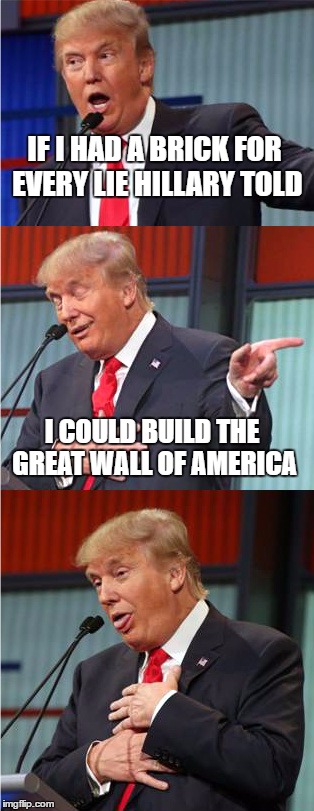 Bad Pun Trump | IF I HAD A BRICK FOR EVERY LIE HILLARY TOLD; I COULD BUILD THE GREAT WALL OF AMERICA | image tagged in bad pun trump | made w/ Imgflip meme maker
