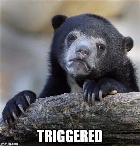 Confession Bear Meme | TRIGGERED | image tagged in memes,confession bear | made w/ Imgflip meme maker