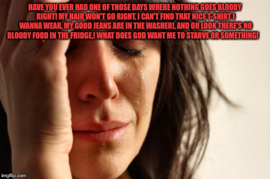 First World Problems | HAVE YOU EVER HAD ONE OF THOSE DAYS WHERE NOTHING GOES BLOODY RIGHT! MY HAIR WON'T GO RIGHT, I CAN'T FIND THAT NICE T-SHIRT I WANNA WEAR, MY GOOD JEANS ARE IN THE WASHER!, AND OH LOOK THERE'S NO BLOODY FOOD IN THE FRIDGE,! WHAT DOES GOD WANT ME TO STARVE OR SOMETHING! | image tagged in memes,first world problems | made w/ Imgflip meme maker