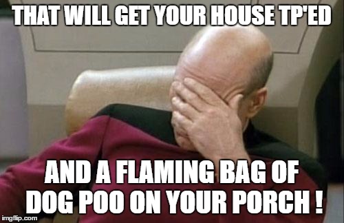 Captain Picard Facepalm Meme | THAT WILL GET YOUR HOUSE TP'ED AND A FLAMING BAG OF DOG POO ON YOUR PORCH ! | image tagged in memes,captain picard facepalm | made w/ Imgflip meme maker