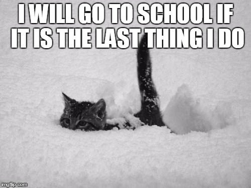 Snow Cat | I WILL GO TO SCHOOL IF IT IS THE LAST THING I DO | image tagged in snow cat | made w/ Imgflip meme maker