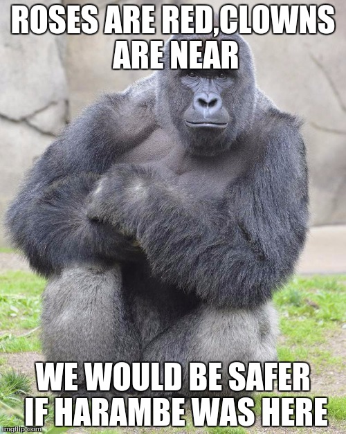 poem | ROSES ARE RED,CLOWNS ARE NEAR; WE WOULD BE SAFER IF HARAMBE WAS HERE | image tagged in harambe | made w/ Imgflip meme maker