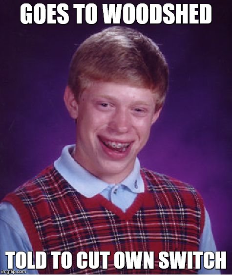 Bad Luck Brian Meme | GOES TO WOODSHED TOLD TO CUT OWN SWITCH | image tagged in memes,bad luck brian | made w/ Imgflip meme maker