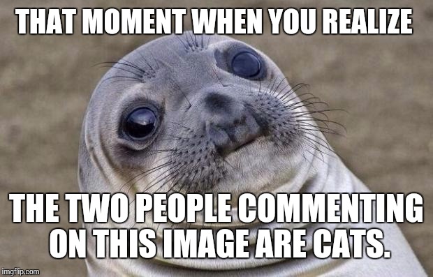 Awkward Moment Sealion Meme | THAT MOMENT WHEN YOU REALIZE THE TWO PEOPLE COMMENTING ON THIS IMAGE ARE CATS. | image tagged in memes,awkward moment sealion | made w/ Imgflip meme maker