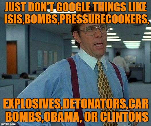 That Would Be Great Meme | JUST DON'T GOOGLE THINGS LIKE ISIS,BOMBS,PRESSURECOOKERS, EXPLOSIVES,DETONATORS,CAR BOMBS,OBAMA, OR CLINTONS | image tagged in memes,that would be great | made w/ Imgflip meme maker