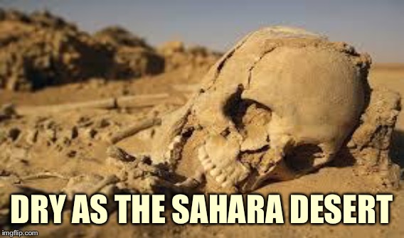 DRY AS THE SAHARA DESERT | made w/ Imgflip meme maker