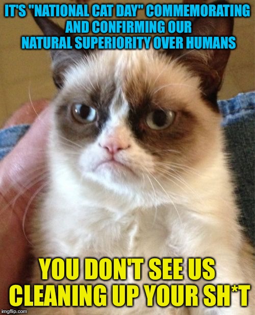 Grumpy Cat | IT'S "NATIONAL CAT DAY" COMMEMORATING AND CONFIRMING OUR NATURAL SUPERIORITY OVER HUMANS; YOU DON'T SEE US CLEANING UP YOUR SH*T | image tagged in memes,grumpy cat | made w/ Imgflip meme maker