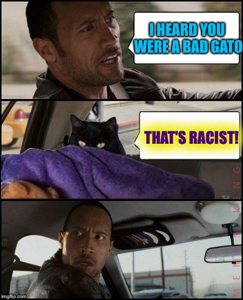 Even evil cats can get offended! | I HEARD YOU WERE A BAD GATO; THAT'S RACIST! | image tagged in the rock driving evil cat,memes | made w/ Imgflip meme maker