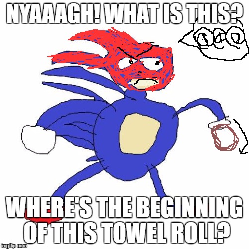 Sanic's Anger of a Towel Roll | NYAAAGH! WHAT IS THIS? WHERE'S THE BEGINNING OF THIS TOWEL ROLL? | image tagged in sanic | made w/ Imgflip meme maker