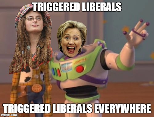 X, X Everywhere Meme | TRIGGERED LIBERALS TRIGGERED LIBERALS EVERYWHERE | image tagged in memes,x x everywhere | made w/ Imgflip meme maker